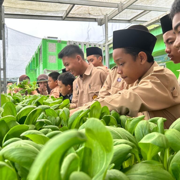 WhatsApp Image 2025-01-03 at 17.14